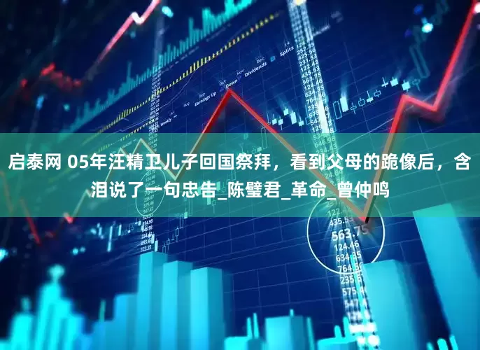 启泰网 05年汪精卫儿子回国祭拜，看到父母的跪像后，含泪说了一句忠告_陈璧君_革命_曾仲鸣