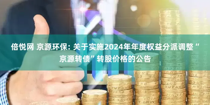倍悦网 京源环保: 关于实施2024年年度权益分派调整“京源转债”转股价格的公告